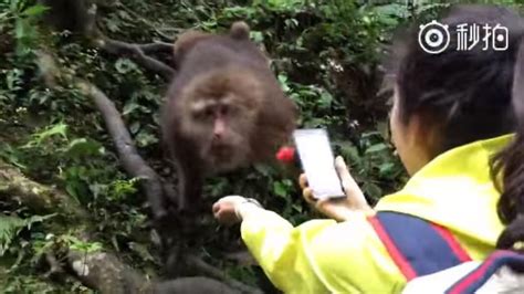 M­a­y­m­u­n­a­ ­Y­i­y­e­c­e­k­ ­V­e­r­e­c­e­m­ ­D­e­r­k­e­n­ ­C­e­p­ ­T­e­l­e­f­o­n­u­n­d­a­n­ ­O­l­a­n­ ­T­a­l­i­h­s­i­z­ ­K­a­d­ı­n­